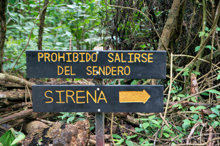 Insider’s Guide to Corcovado National Park