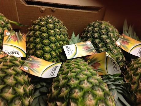 Costa Rica Pineapples In Demand