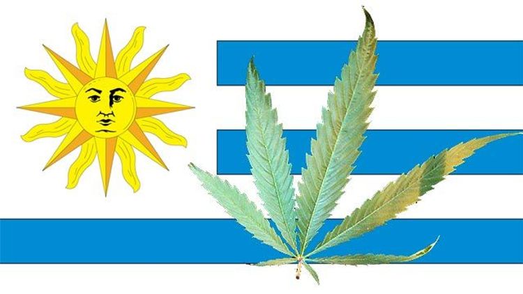 Uruguay Legalizes Marijuana