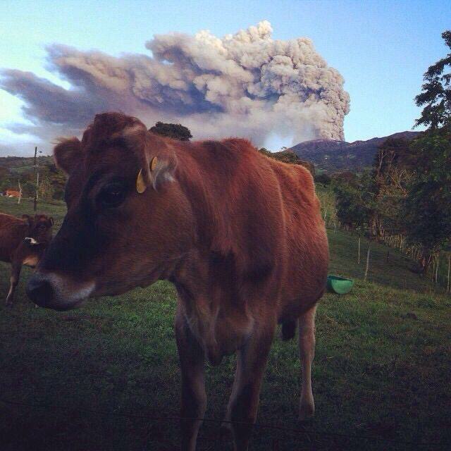 The Turrialba Volcano Eruption in Photos