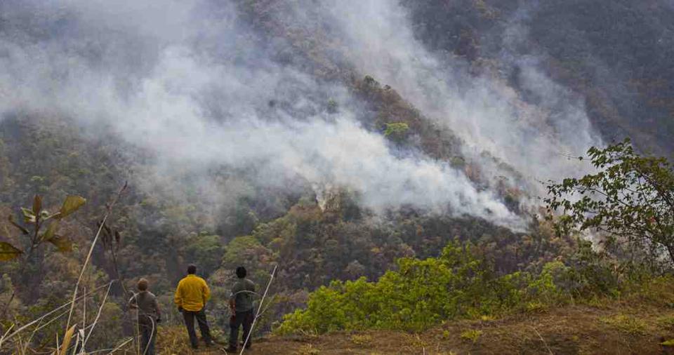 Guanacaste Fires Have Consumed More Than 1,800 Hectares of Protected Areas