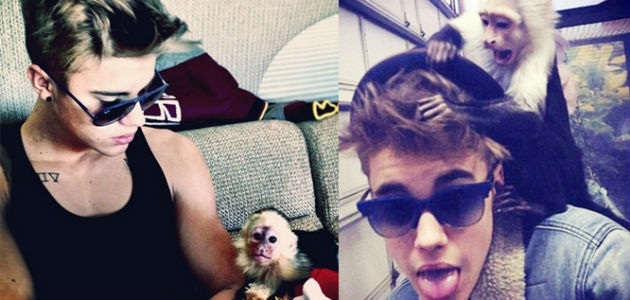 Costa Rica Rescue Center Begs Justin Bieber NOT To Buy Another Monkey!