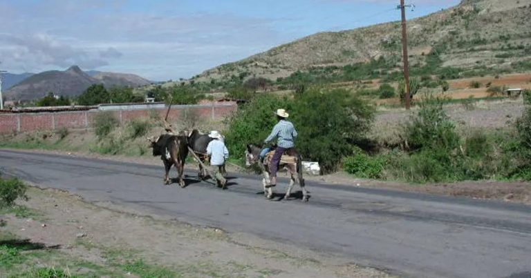 Indigenous Mexicans turn inward to survive COVID-19, barricading villages and growing their own food