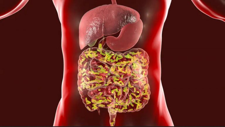 A healthy microbiome builds a strong immune system that could help defeat COVID-19