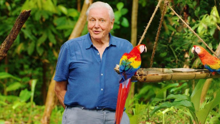 Netflix to premiere Attenborough documentary filmed in Costa Rica