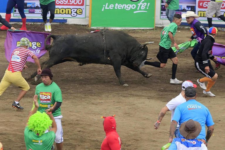 San José cancels Zapote bullfights